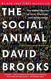The Social Animal by David Brooks
